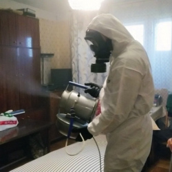 Дезинфекция от клопов в Североморске