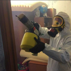 Уничтожение клопов в квартире. Североморск